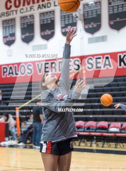 Thumbnail 1 in JV Girls Basketball Torrance vs Palos Verdes photogallery.