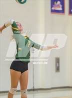 Photo from the gallery "Great Bridge @ Hickory"