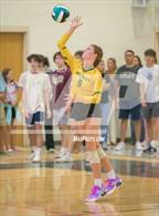 Photo from the gallery "Great Bridge @ Hickory"