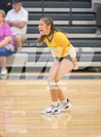 Photo from the gallery "Great Bridge @ Hickory"