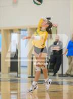 Photo from the gallery "Great Bridge @ Hickory"