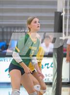 Photo from the gallery "Great Bridge @ Hickory"