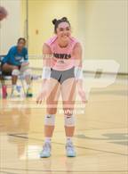 Photo from the gallery "Great Bridge @ Hickory"