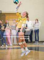 Photo from the gallery "Great Bridge @ Hickory"