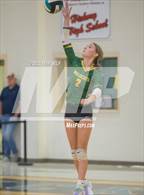 Photo from the gallery "Great Bridge @ Hickory"