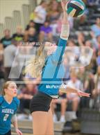 Photo from the gallery "Great Bridge @ Hickory"