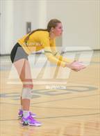 Photo from the gallery "Great Bridge @ Hickory"