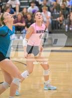 Photo from the gallery "Great Bridge @ Hickory"