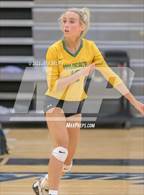 Photo from the gallery "Great Bridge @ Hickory"