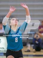 Photo from the gallery "Great Bridge @ Hickory"