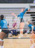 Photo from the gallery "Great Bridge @ Hickory"