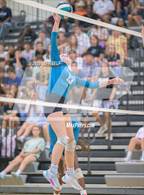 Photo from the gallery "Great Bridge @ Hickory"