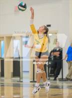 Photo from the gallery "Great Bridge @ Hickory"