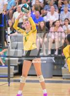 Photo from the gallery "Great Bridge @ Hickory"