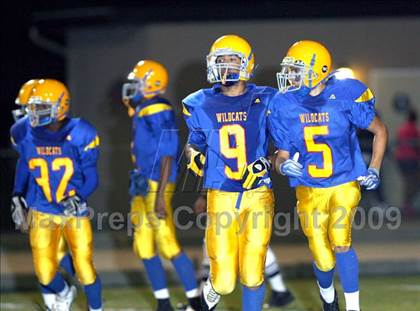 Thumbnail 2 in Inderkum @ Wood photogallery.