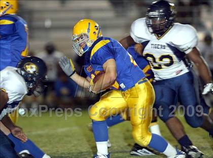Thumbnail 1 in Inderkum @ Wood photogallery.