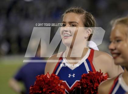 Thumbnail 2 in Manatee @ Alonso photogallery.