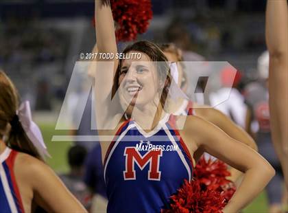 Thumbnail 1 in Manatee @ Alonso photogallery.