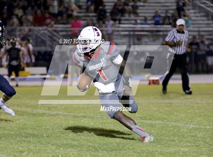 Thumbnail 1 in Manatee @ Alonso photogallery.