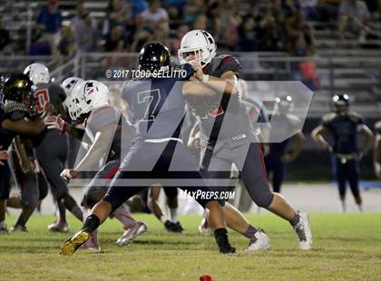 Thumbnail 3 in Manatee @ Alonso photogallery.