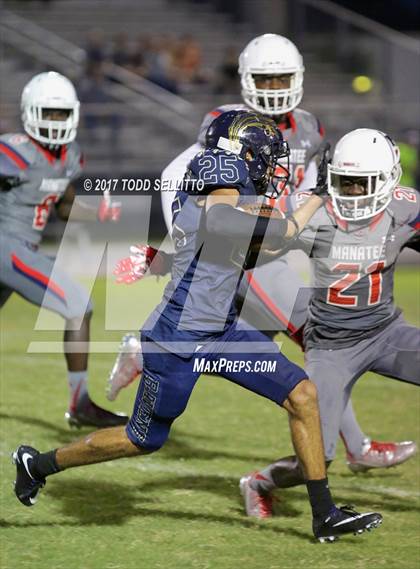 Thumbnail 1 in Manatee @ Alonso photogallery.