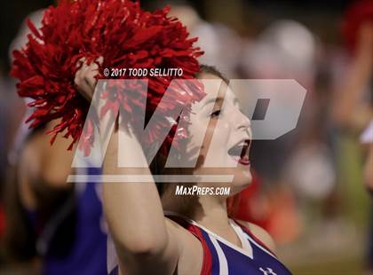 Thumbnail 2 in Manatee @ Alonso photogallery.