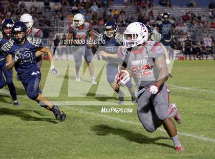 Thumbnail 2 in Manatee @ Alonso photogallery.