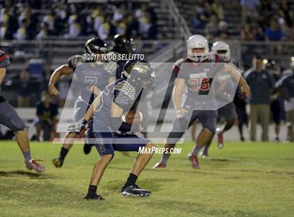 Thumbnail 2 in Manatee @ Alonso photogallery.