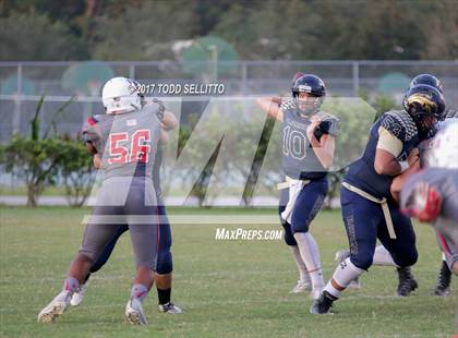 Thumbnail 1 in Manatee @ Alonso photogallery.