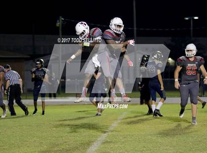 Thumbnail 3 in Manatee @ Alonso photogallery.