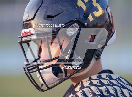 Thumbnail 3 in Manatee @ Alonso photogallery.
