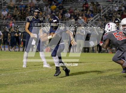 Thumbnail 3 in Manatee @ Alonso photogallery.
