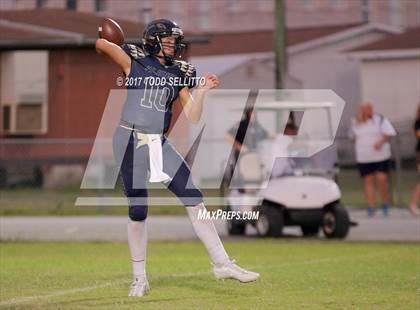 Thumbnail 1 in Manatee @ Alonso photogallery.