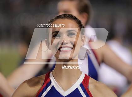 Thumbnail 3 in Manatee @ Alonso photogallery.