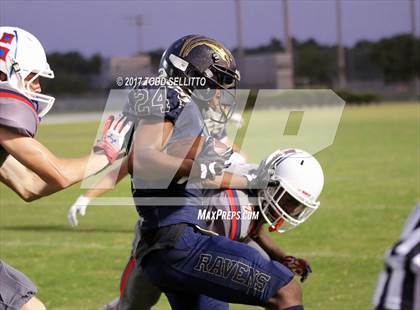 Thumbnail 3 in Manatee @ Alonso photogallery.