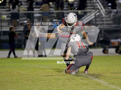 Thumbnail 1 in Manatee @ Alonso photogallery.