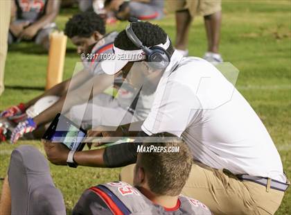 Thumbnail 3 in Manatee @ Alonso photogallery.