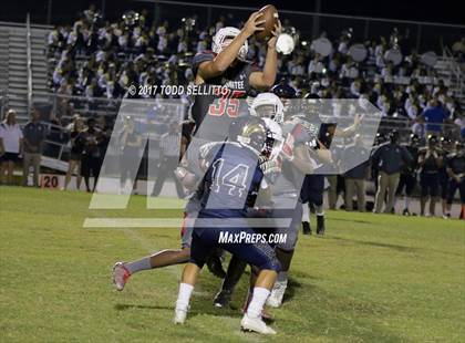 Thumbnail 2 in Manatee @ Alonso photogallery.
