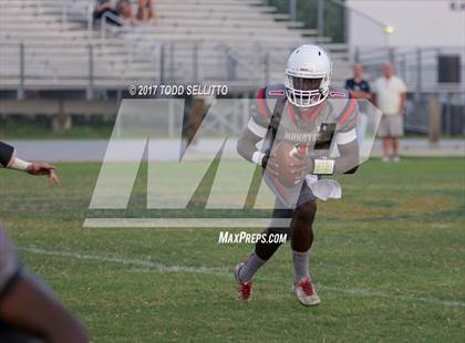 Thumbnail 1 in Manatee @ Alonso photogallery.