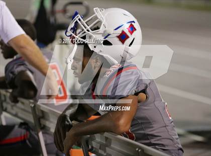 Thumbnail 3 in Manatee @ Alonso photogallery.