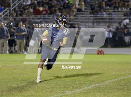 Thumbnail 2 in Manatee @ Alonso photogallery.