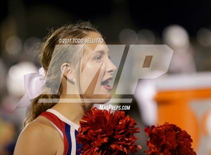 Thumbnail 1 in Manatee @ Alonso photogallery.