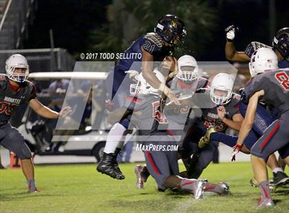 Thumbnail 2 in Manatee @ Alonso photogallery.