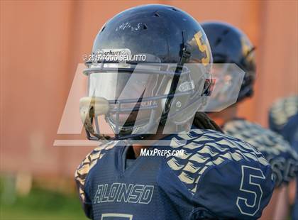 Thumbnail 2 in Manatee @ Alonso photogallery.