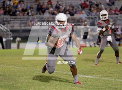 Thumbnail 1 in Manatee @ Alonso photogallery.