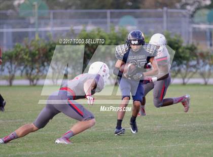 Thumbnail 3 in Manatee @ Alonso photogallery.