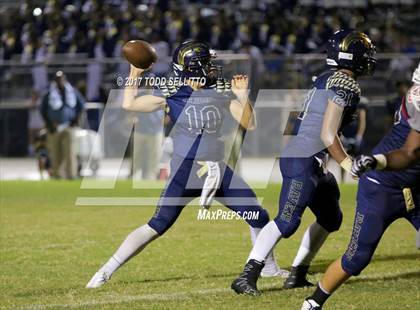 Thumbnail 1 in Manatee @ Alonso photogallery.