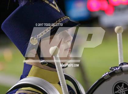Thumbnail 1 in Manatee @ Alonso photogallery.