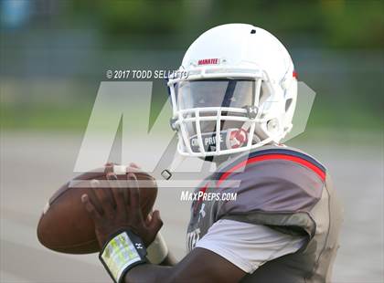 Thumbnail 1 in Manatee @ Alonso photogallery.