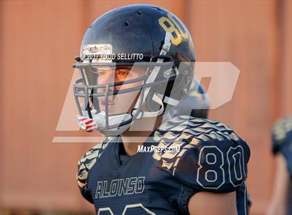 Thumbnail 1 in Manatee @ Alonso photogallery.